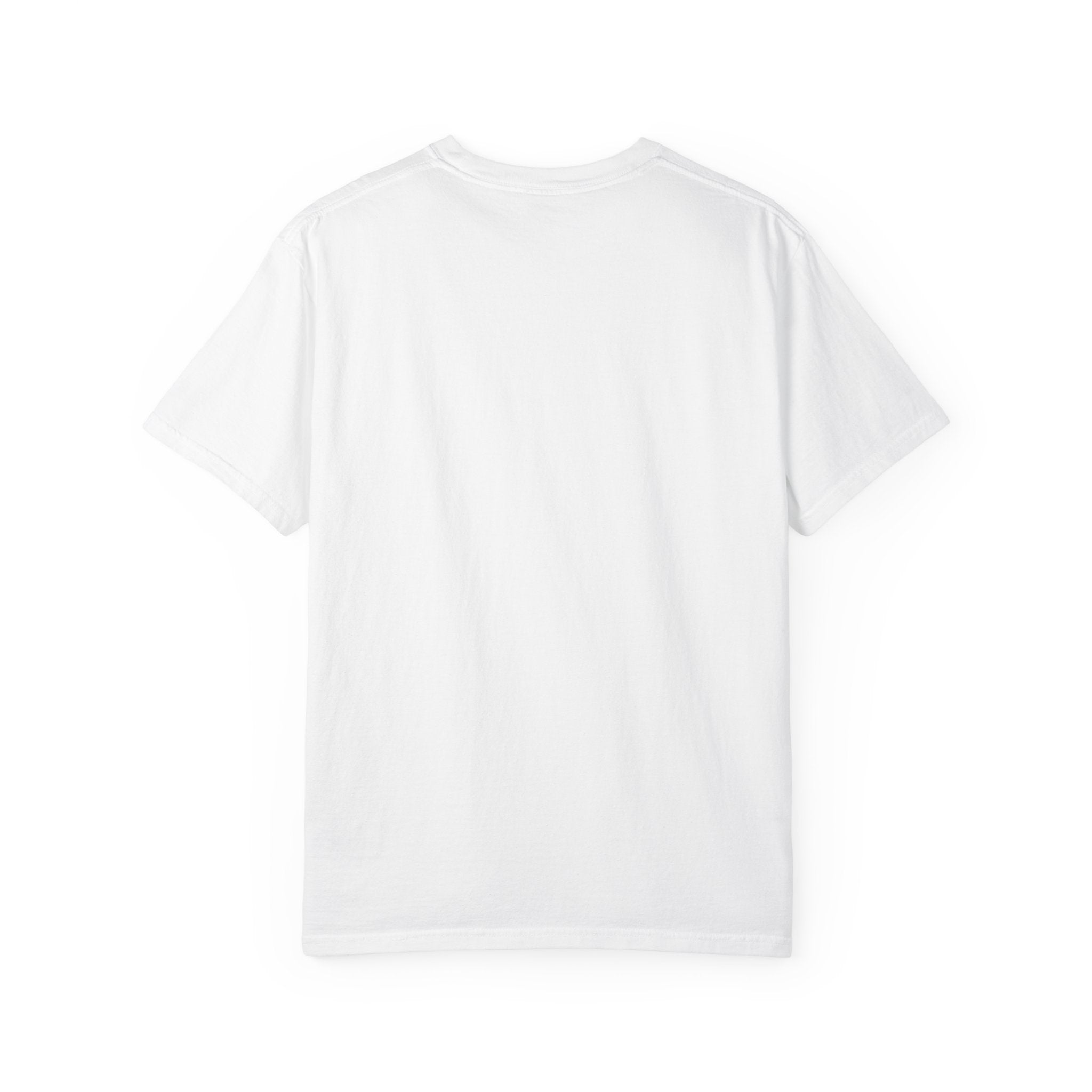 Nihonbashi PHILLY TOKYO Unisex Garment-Dyed T-Shirt - 'Go Birds' Design By NAO