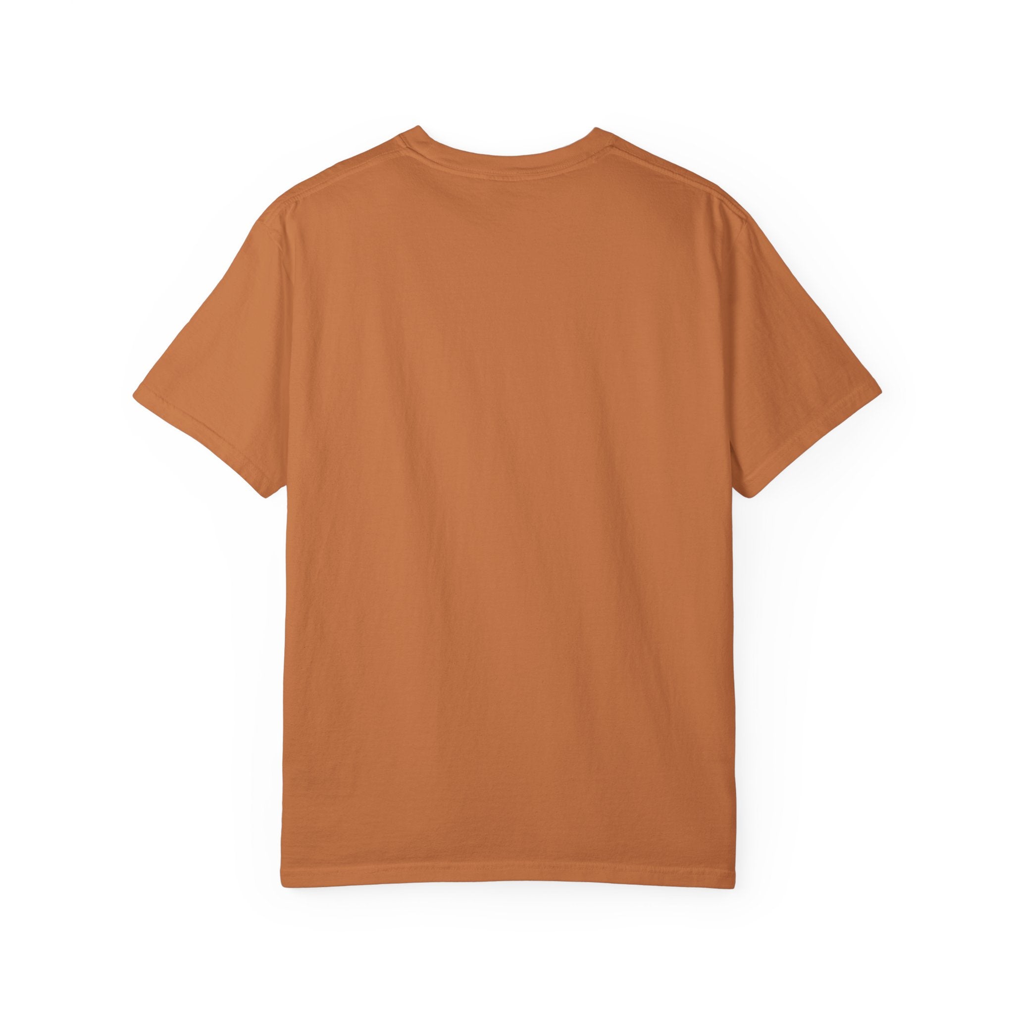 Always Sunny 15th Anniversary Unisex T-Shirt, Perfect Gift for Fans, Casual Wear, Unique Graphic Tee, Fun Celebration Shirt, Pop [...]